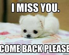 Image result for I Miss You Already Meme