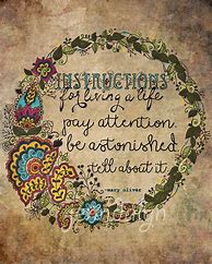 Image result for Patterns in Nature Quotes