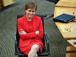 Image result for Nicola Sturgeon Face