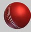 Image result for Cricket Bat Red