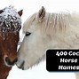 Image result for Cool Horse Names