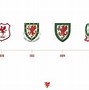 Image result for Wales FA Badge