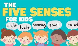 Image result for Preschool Five Senses Sight
