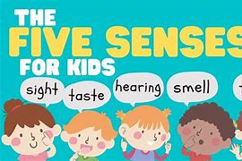Image result for Image of a Boy with Five Senses