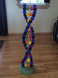 Image result for DNA Model Project