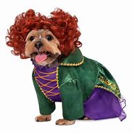 Image result for Costume for Hairless Dogs