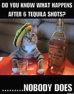 Image result for Tequila Cat Meme