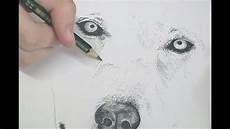 desenho de lobos desenho do dia 7 lobo desenho de lobos desenho do dia 7 lobo