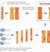 Image result for Genetic Linkage Analysis