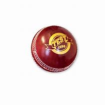 Image result for Cricket Ball Equipement