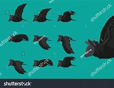 Image result for Cute Bat Animated