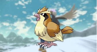 Image result for 1st Gen Pokemon Birds