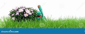 Image result for Home Garden with Wigt Background