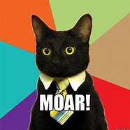 Image result for Moar Cat Meme