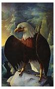 Image result for Bald Eagle Pictures Drawing