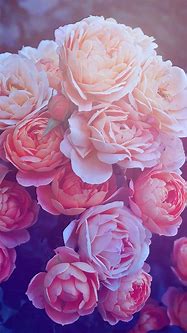 Image result for Rose Gold Floral Background Design