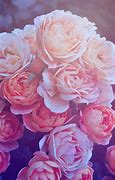 Image result for Rose Gold PC Wallpaper HD