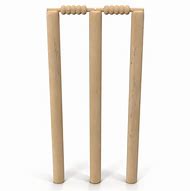 Image result for Cricket Wicket Set