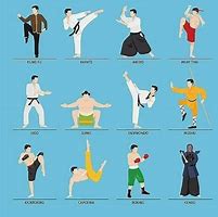 Image result for Types of Martial Arts Self-Defense