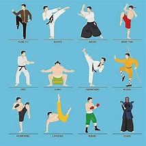 Image result for All Martial Arts