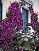 Image result for Balcony Lock