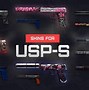 Image result for USP CS:GO Skins