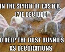 Image result for funny bunnies easter meme
