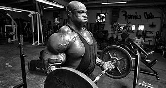 Image result for 3-Day Workout Bulking