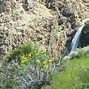 Image result for 1511 Mt Diablo Blvd., Walnut Creek, CA 94596 United States