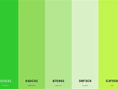 Image result for 6 Green