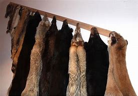 Image result for Animal Hide Hanging Clips