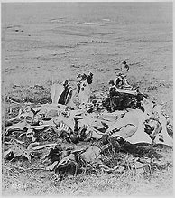 Image result for Custer's Last Stand Body Found