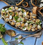 Image result for Coquillage Mange Quoi