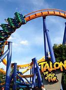 Image result for Dorney Park and Wildwater Kingdom
