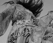 Image result for shecho