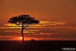 Image result for Africa Sunrise