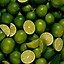 Image result for Green Fruit Aesthetic
