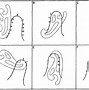 Image result for French Curve Drawing