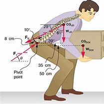 Image result for Lever Physics