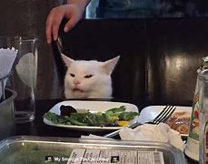 Image result for Smudge Cat Meme Template