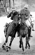 Image result for Cowboy Polo