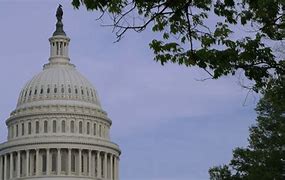 Image result for What Is On Top of the Capitol Building Dome