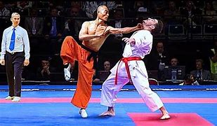 Image result for Kung Fu vs Karate
