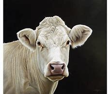 Image result for Kenyan Cow Painting