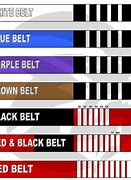 Image result for Jiu Jitsu Belt Divisions