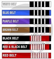 Image result for Martial Arts Belt Size Chart