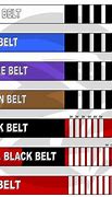 Image result for Sambo Belt System