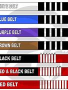 Image result for Jiu Jitsu Belt Levels