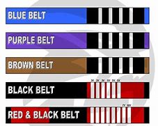 Image result for Jiu Jitsu Belt System