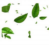 Image result for Green Leaf Emoji